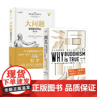 洞见从科学到哲学+大问题简明哲学导论 套装2册 罗伯特赖特 著 为什么佛学是真的 发现自我人生智慧 万维钢作序
