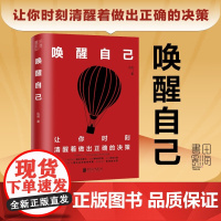 唤醒自己 如何做出正确决策 达叔 著 让你时刻清醒着做出正确的决策 励志