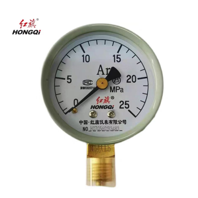 红旗 氩气压力表检测款YAr60 块