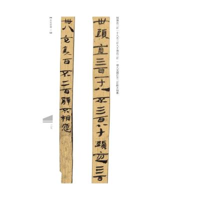 鹏辰正版中国古代简牍书法精粹 居延新简三 简牍书法名迹 居延汉简 毛笔书法字帖临摹赏析 河南美术出版L314ET