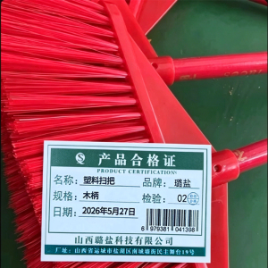 璐盐 塑料扫把 木柄 把