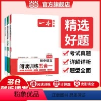 语文阅读训练五合一 七年级/初中一年级 [正版]2024新版初中七八九年级语文阅读训练五合一现代文阅读理解专项技能训练1