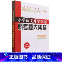[正版]BK小学语文升学夺冠新考题大集结(全新升级版)