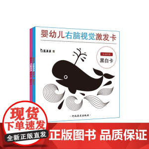 真果果婴幼儿右脑视觉激发卡(全二册)