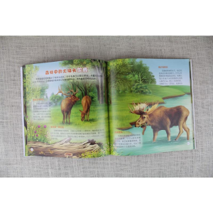 [M]童眼识天下科普馆 森林动物-9787122302724