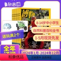 [24年全年]博物2024年1月-12月 [正版]1-5月先发23/24年全年/半年博物杂志订阅 杂志铺 中国国