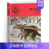 野犬女皇 [正版]沈石溪动物小说大王品藏书系全集十大经典狼王梦后一头战象狼国女王斑羚飞渡红飘带狮王第七条猎狗白象家族精品