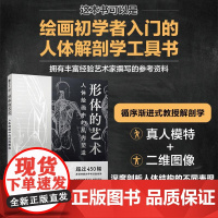 形体的艺术 人体绘画中的肌肉塑造 人体结构造型动态解剖肌肉绘制人体手绘 人体骨骼结构肌肉解剖