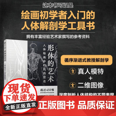 形体的艺术 人体绘画中的肌肉塑造 人体结构造型动态解剖肌肉绘制人体手绘 人体骨骼结构肌肉解剖