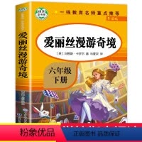 爱丽丝漫游奇境 [正版]爱丽丝漫游奇镜境全集完整版 快乐读书吧6年级下册 老师经典必读的课外书 适合小学生下学期课外阅读