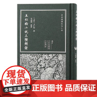 [正版]王仁裕小说三种辑证(李剑国辑校古小说)上海古籍出版社