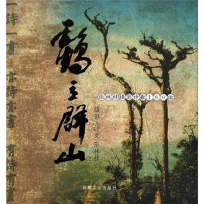正版新书]鹤立群山--张林桂投影诗歌100组张林桂 摄影者 张林桂9