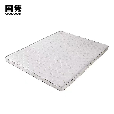 国隽 单人床垫1000*2000*80mm 张