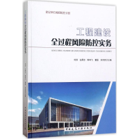音像工程建设全过程风险防控实务刘洪 等 主编