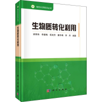 音像生物质转化利用胡常伟 等
