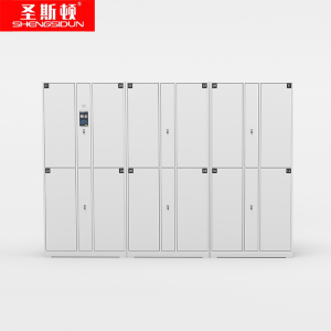 圣斯顿S-JF30502-WT智能人脸识别更衣柜3000*500*2000mm(组)白色
