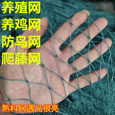 防鸟网_防鸟网推荐- 苏宁易购