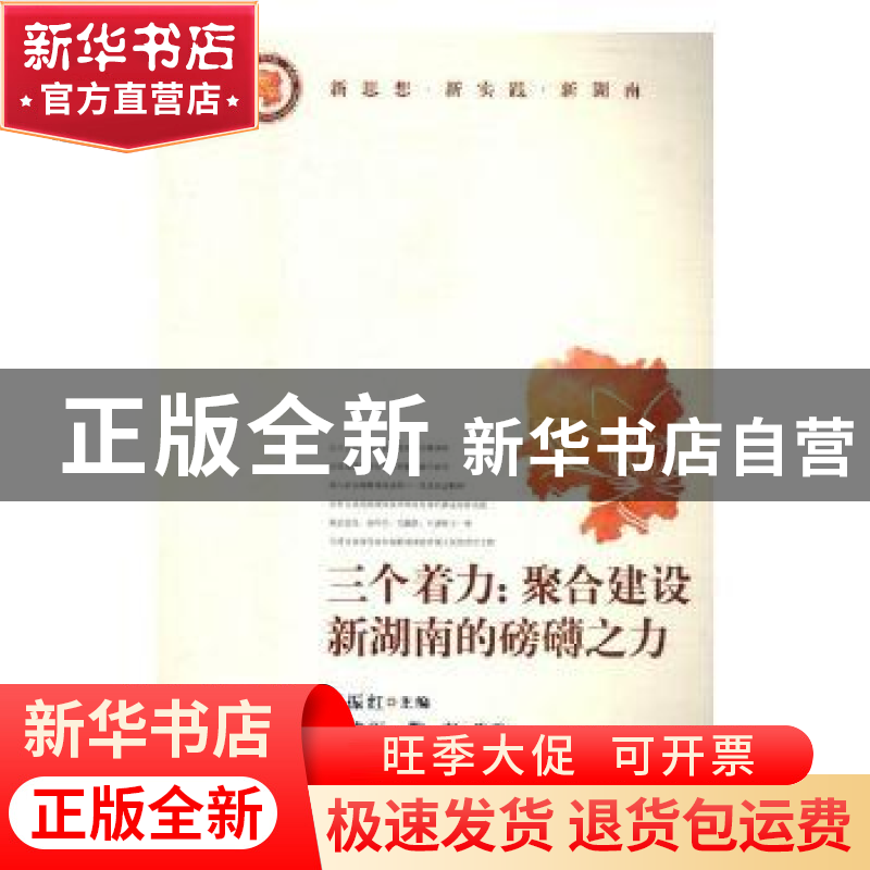正版 三个着力:聚合建设新湖南的磅礴之力 周建军,鞠方等著 湖