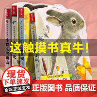 小兔比利触摸书撕不烂婴幼儿早教书儿童绘本0到3岁宝宝书本早教启蒙认知洞洞书一岁宝宝绘本认知书触感0-3岁绘本经典 小熊波