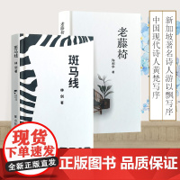 [正版]斑马线 老藤椅 小憩的时光翻开它一首诗一段生活 作家许利华与林剑的诗集合二为一 阅读优美好诗