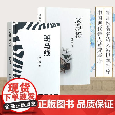 [正版]斑马线 老藤椅 小憩的时光翻开它一首诗一段生活 作家许利华与林剑的诗集合二为一 阅读优美好诗