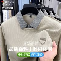 啄木鸟长袖t恤男士春季新款衬衫领假两件爸爸宽松休闲打底上衣男C