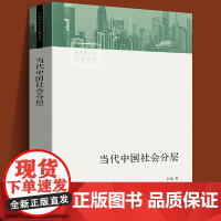 当代中国社会分层 生活书店出版李强教授 中国当代社会学经典中产 中国社会结构的俗易懂书籍中国社会各阶层分析社会各阶级的分
