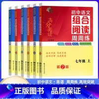 2本[语文+英语]组合阅读.7年级上册 初中通用 [正版]2022南大励学高分阅读 初中语文英语阅读组合周周练七八九年级