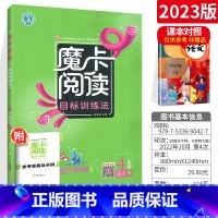 四下 语文阅读 小学通用 [正版]2023新版 魔卡阅读三四年级五六年级一二年级上册下册 语文英语阅读理解训练题 典中点