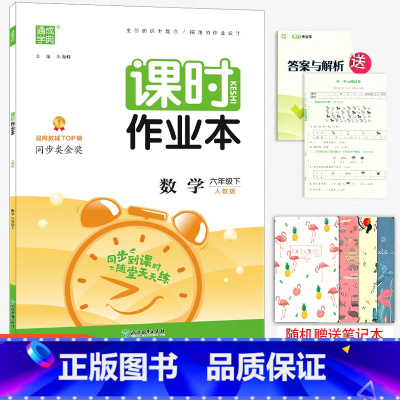 [正版]2023春新版 通城学典课时作业本 六年级下册数学人教版 小学生6年级下册数学同步练习课时训练天天练随堂练单元