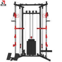 康力强ZH01小飞鸟龙门架综合训练器家用室内家庭多功能健身器材卧推深蹲架豪华款+2.2米杠铃杆+100KG杠铃片