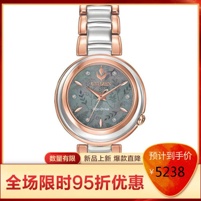 西铁城Citizen女士Anna光动能手表时尚休闲石英表女百搭经典款Diamond-Accent31mmTwo-tone