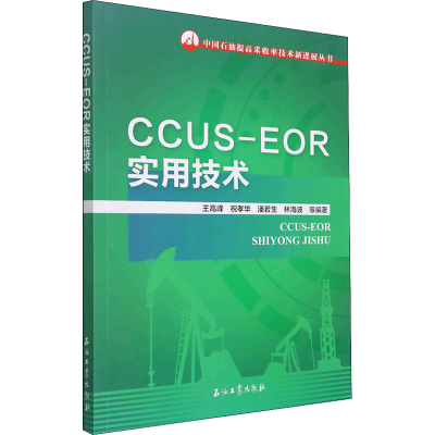 正版新书]CCUS-EOR实用技术王高峰,祝孝华,潘若生,林海波9787