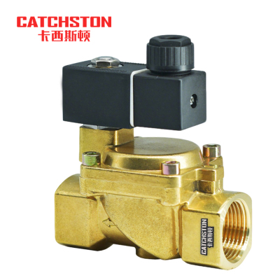 卡西斯顿 水用电磁阀 G2 个