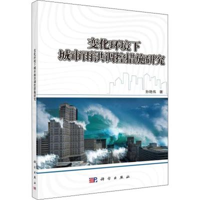 变化环境下的城市雨洪调控措施研究