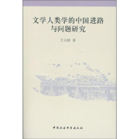 正版新书]文学人类学的中国进路与问题研究王大桥著978751614021