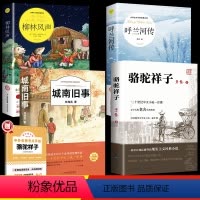 [全4册]小学生课外阅读书籍 [正版]骆驼祥子七年级下册必读 五年级原著老舍四六小学生课外书和海底两万里初一初中生阅读书