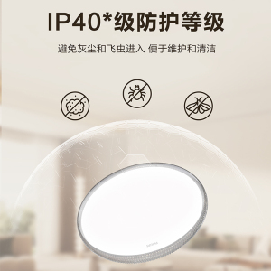 飞利浦 吸顶灯瑰丽48W 三档调色版 烟灰Ra90