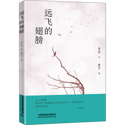 醉染图书远飞的翅膀9787113267650