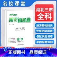 数学[人教版] 八年级下 [正版]2024期末真题卷湖北三市专版初中七八九年级下册语文数学英语物理真题精编模拟冲刺测试卷