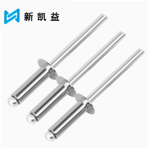 新凯益 304不锈钢抽芯铆钉 4.8*18 个