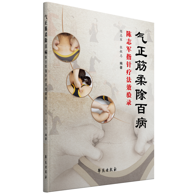 音像气正筋柔除百病: 陈志军指针疗法效验录陈志军 张敏志