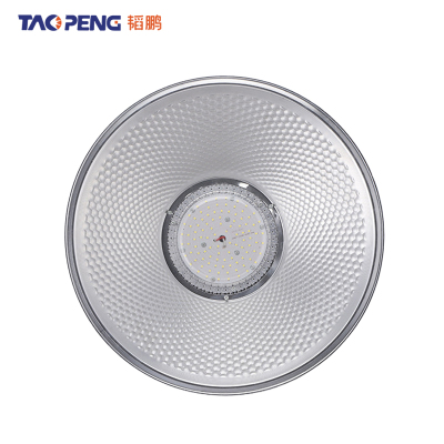 韬鹏 工矿灯 100W 个