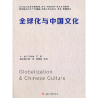 音像全球化与中国文化王俊棋,王昕