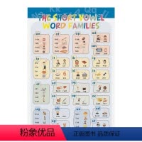 自然拼读挂图 2级别 [正版]麦凯思图书原版进口88元选两件培生3000词Picture Dictionary幼儿Pla