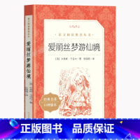 爱丽丝梦游仙境 [正版]爱丽丝梦游仙境 六年级下册刘易斯卡罗尔原著无删减 小学生课外读物阅读学校经典名著 爱丽丝漫游奇境