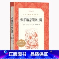 爱丽丝梦游仙境 [正版]爱丽丝梦游仙境 六年级下册刘易斯卡罗尔原著无删减 小学生课外读物阅读学校经典名著 爱丽丝漫游奇境