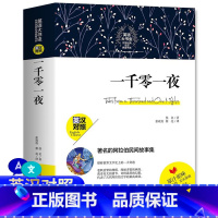 [正版]书籍一千零一夜英文版完整版英汉对照英语大书虫名译典藏书系小学五年级上册全集原著三年级故事书二年级小学生四年级上