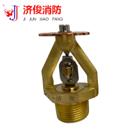 济俊 特殊应用喷头 非仓库型 CHSAX 363-74℃ Y DN25