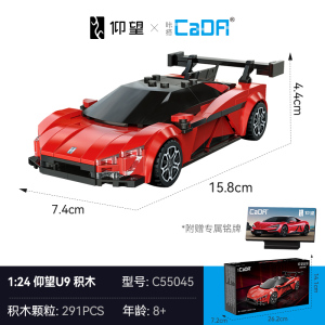 cada咔搭比亚迪仰望U9联名授权积木跑车编程遥控儿童玩具男孩1663